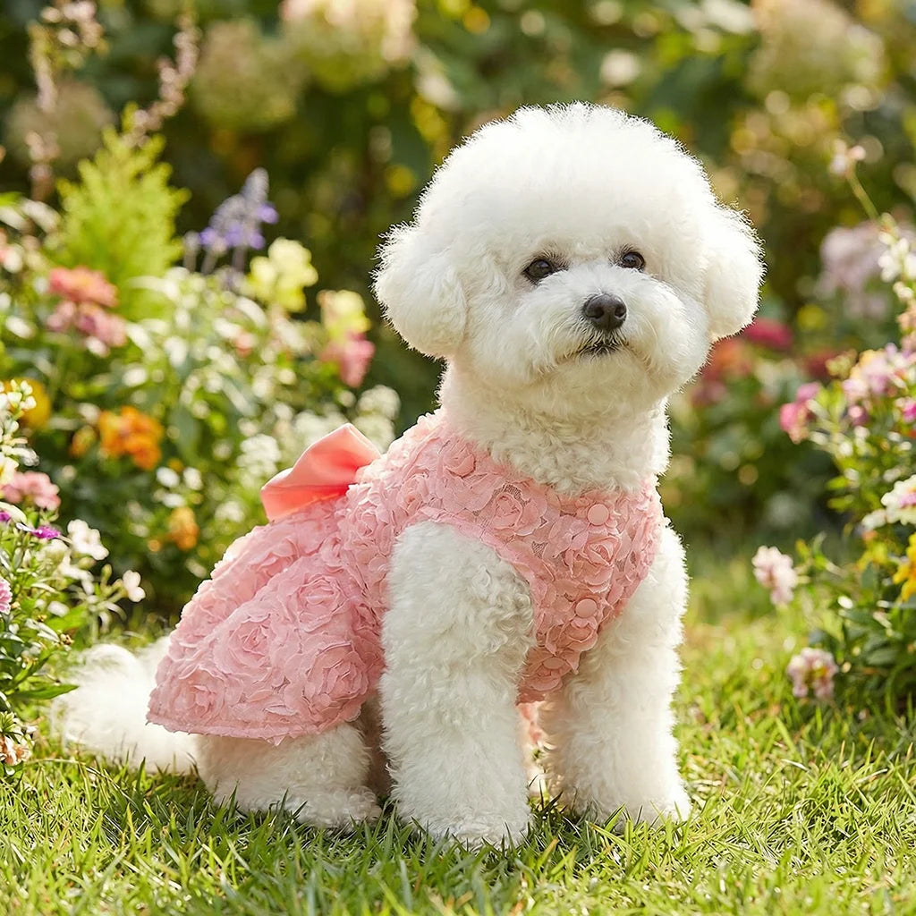 Robe Princesse Fleurie