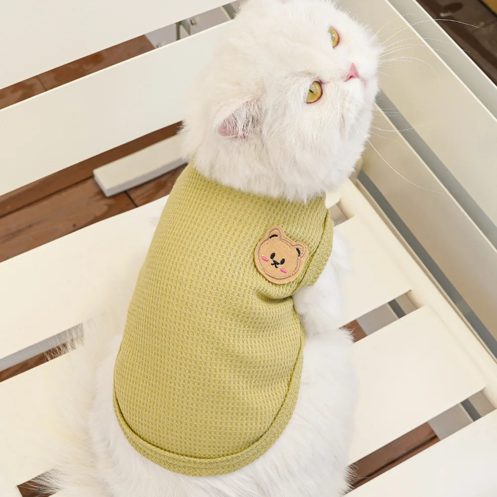 Gilet Ours Douillet Pour Chat