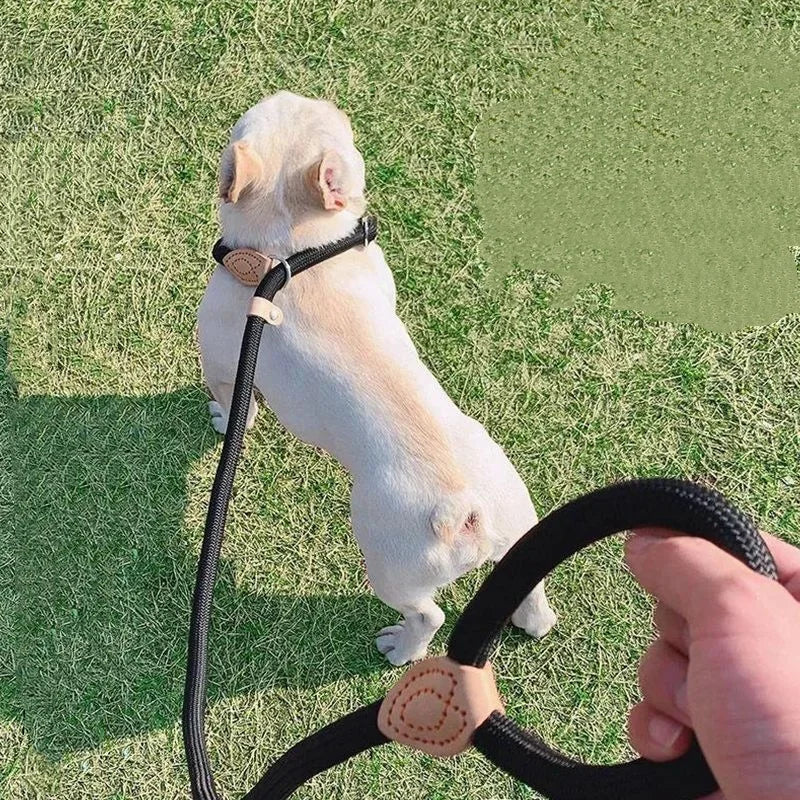 Laisse Corde Réglable Pour Chien
