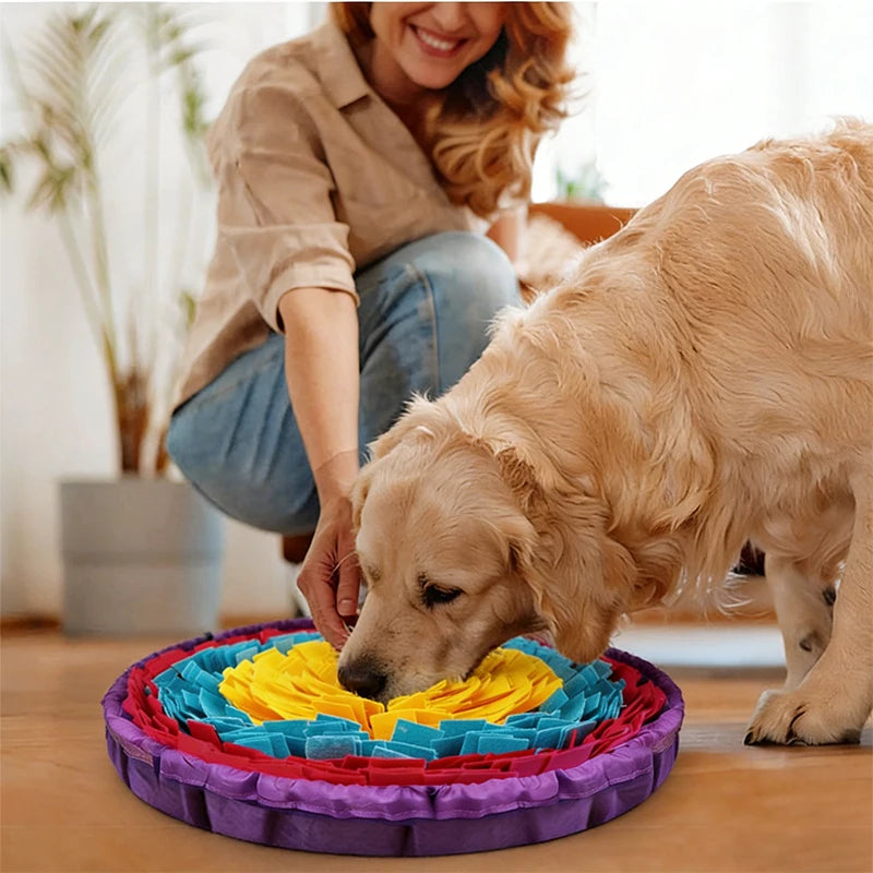 Tapis de Fouille Anti-Ennui