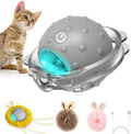 Balle Interactive pour Chat