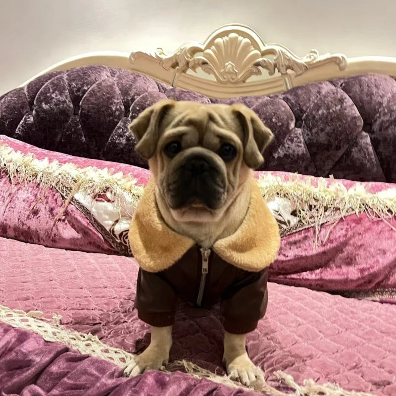 Manteau Hiver Pour Chien