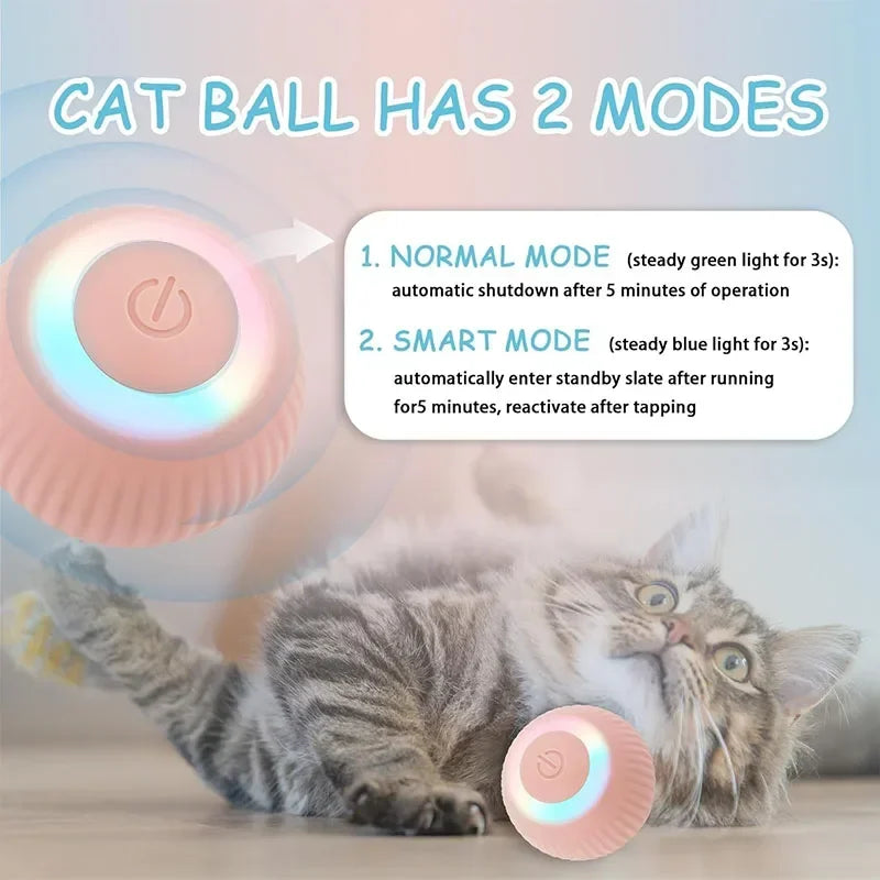 Balle Intelligente Pour Chat
