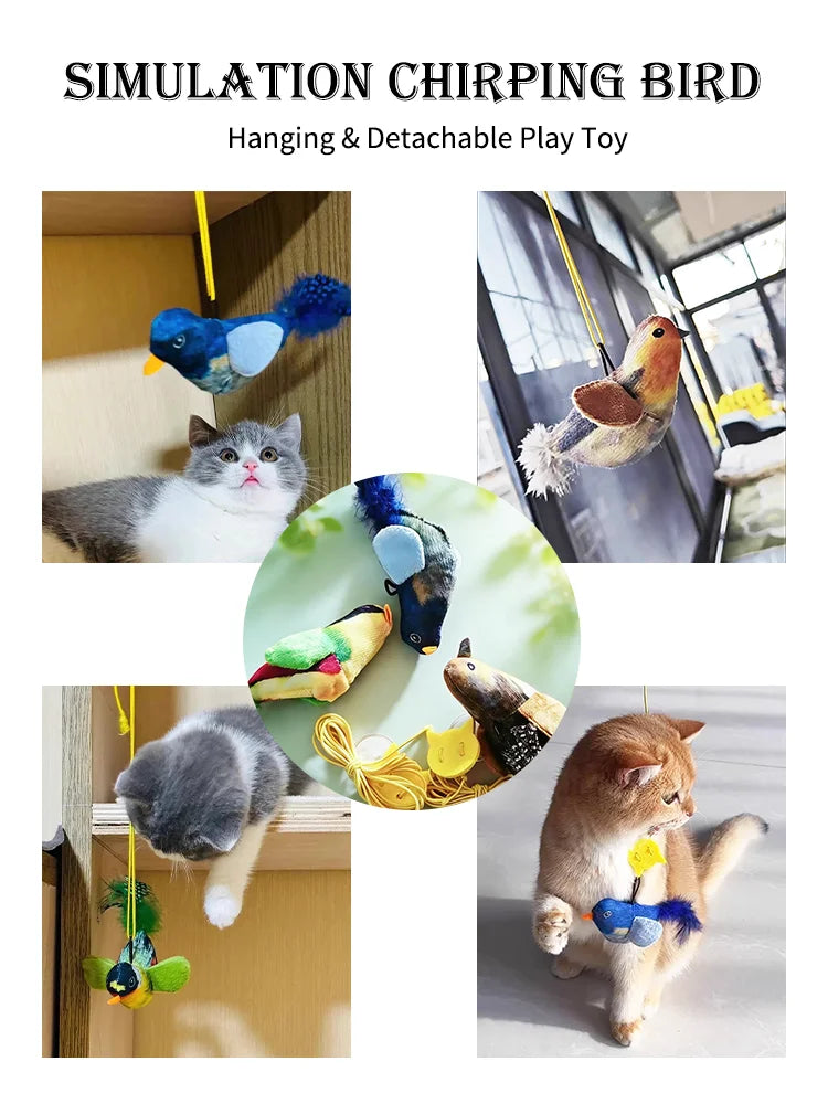 Oiseau Interactif Pour Chat