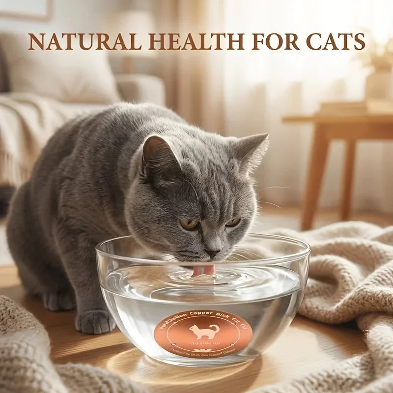Purificateur Eau Cuivre  pour chien