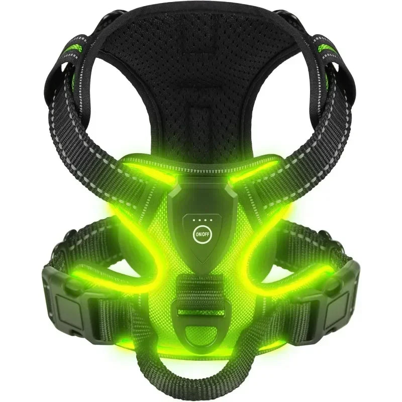 Harnais LED Lumineux