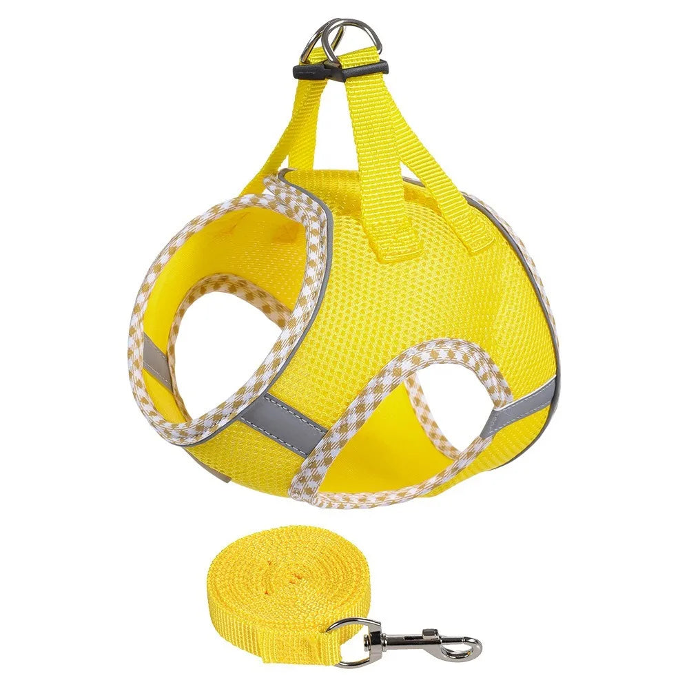 Balle Interactive pour Chien