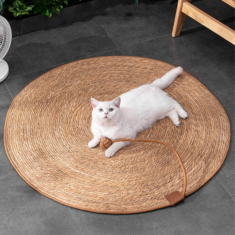 Griffoir Rattan Protecteur