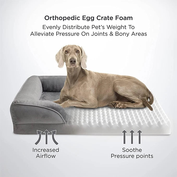 Canapé Orthopédique Pour Chien