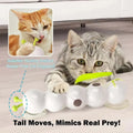 Chenille Interactive Pour Chat