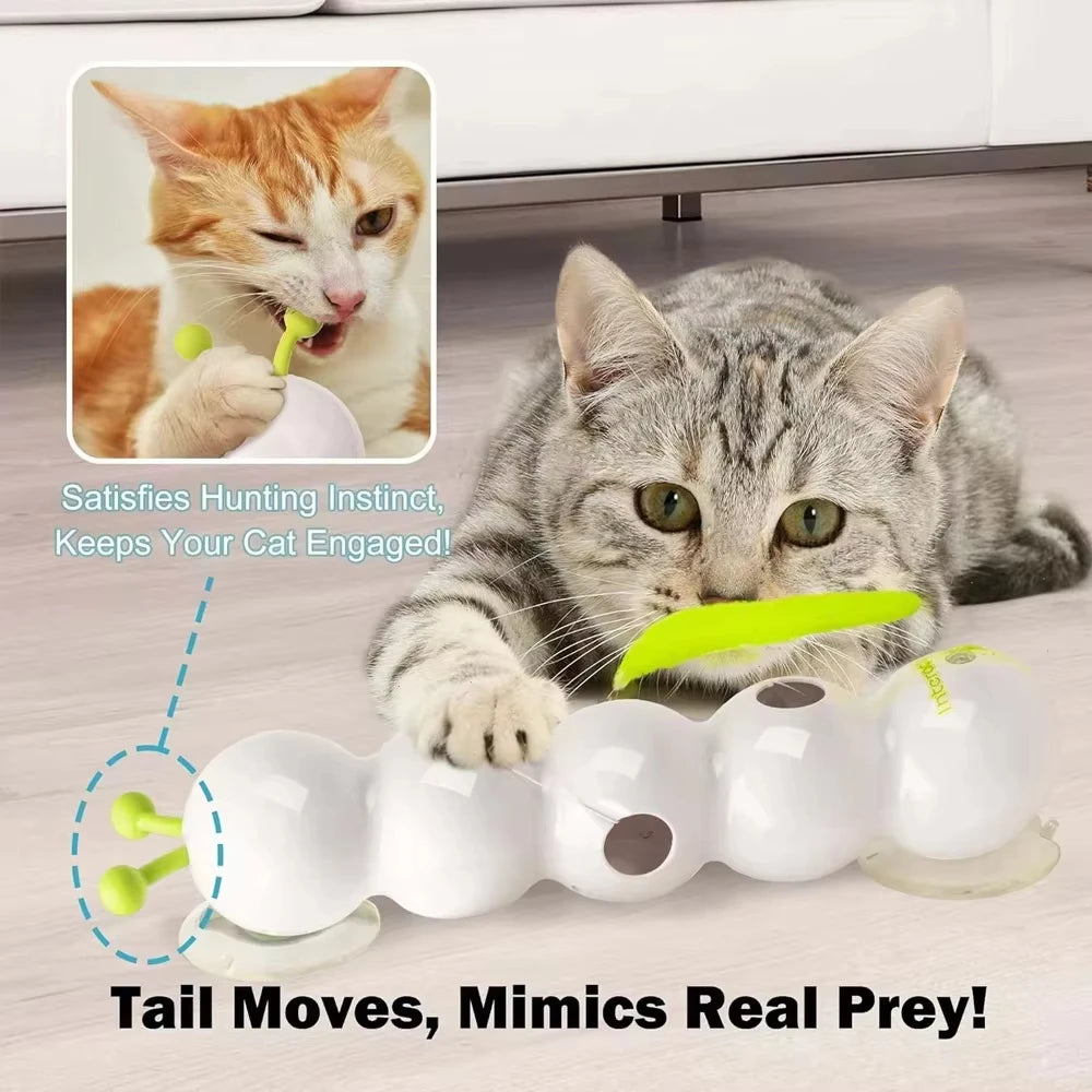 Chenille Interactive Pour Chat