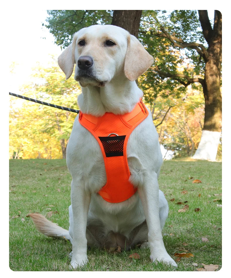 Harnais Chien Anti-Traction