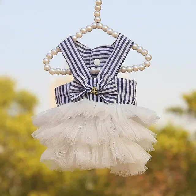 Robe Princesse Pour Animaux