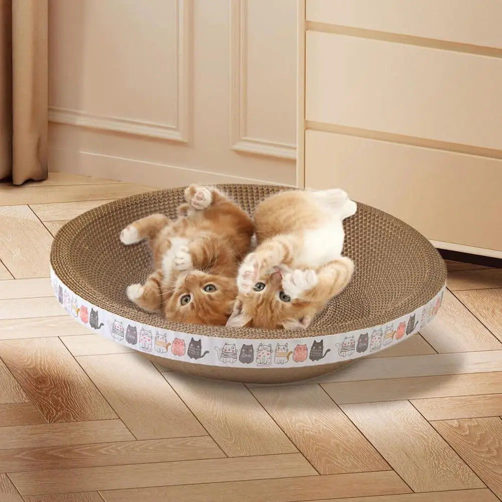 Griffoir Carton Anti-Griffes