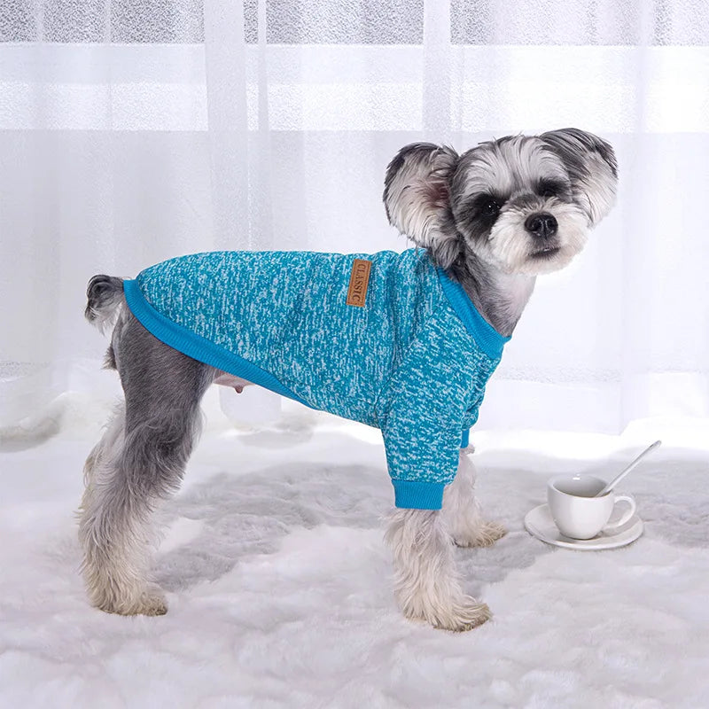 Pull Chaud Pour Chien