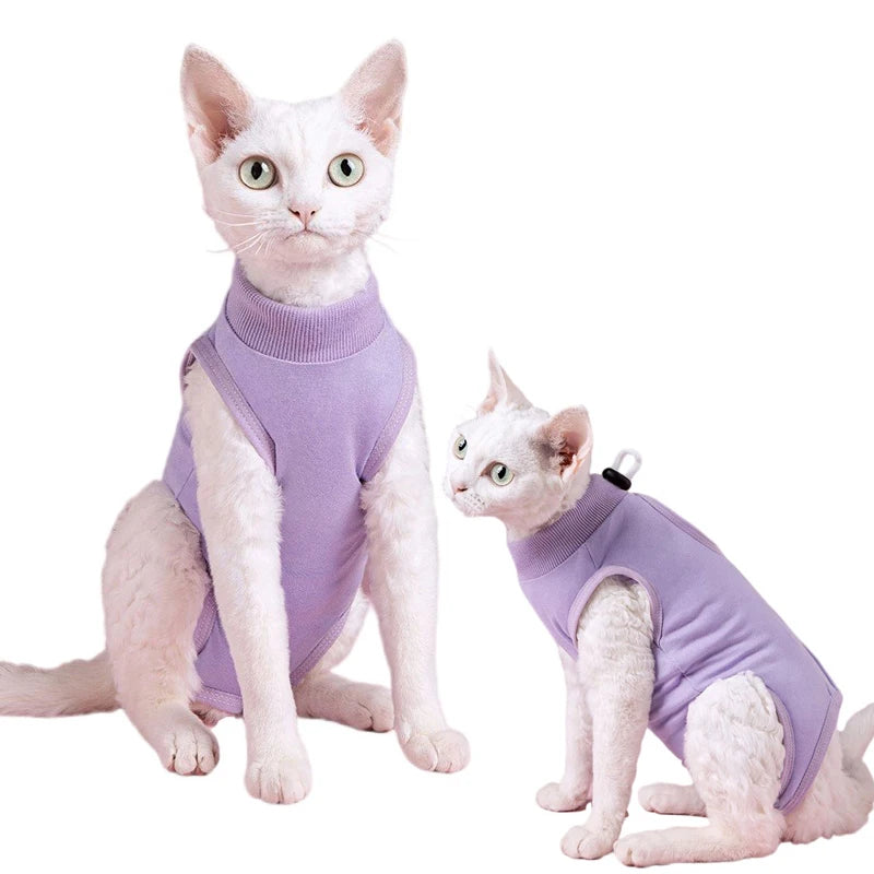 Combinaison Récupération Chat
