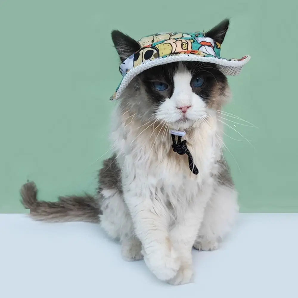 Chapeau Soleil Pour Animaux