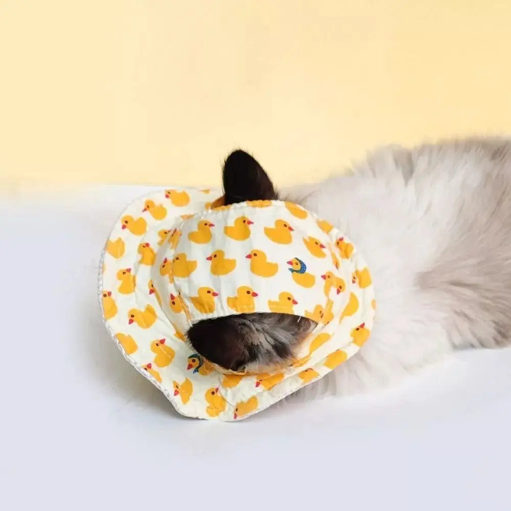 Chapeau Soleil Pour Animaux