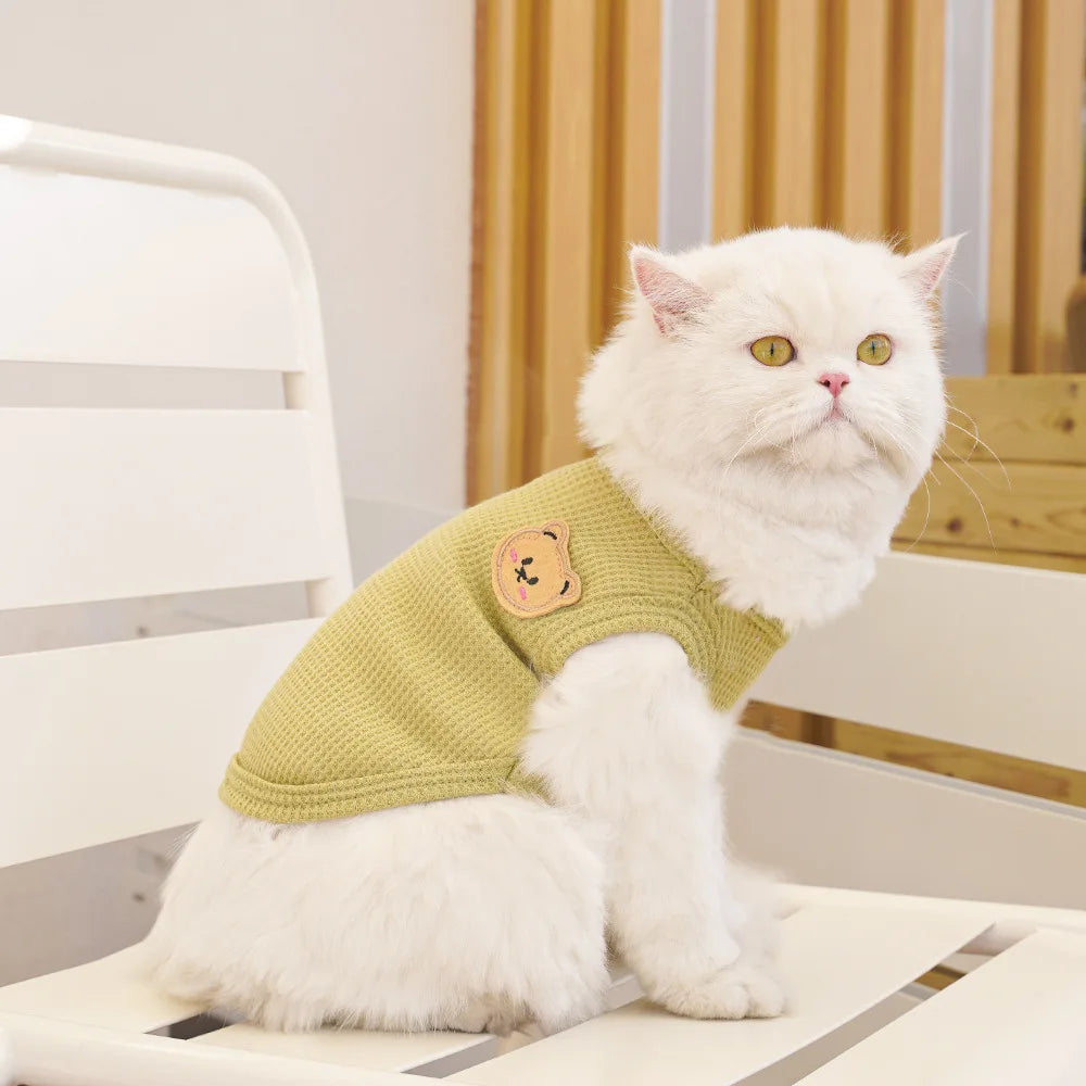 Gilet Ours Douillet Pour Chat