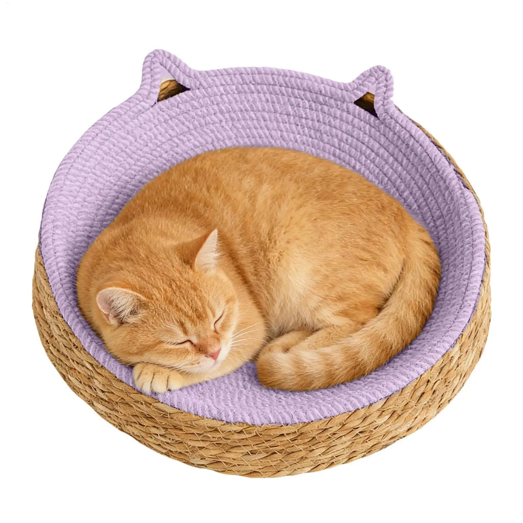 Nid Griffoir Douillet Chat