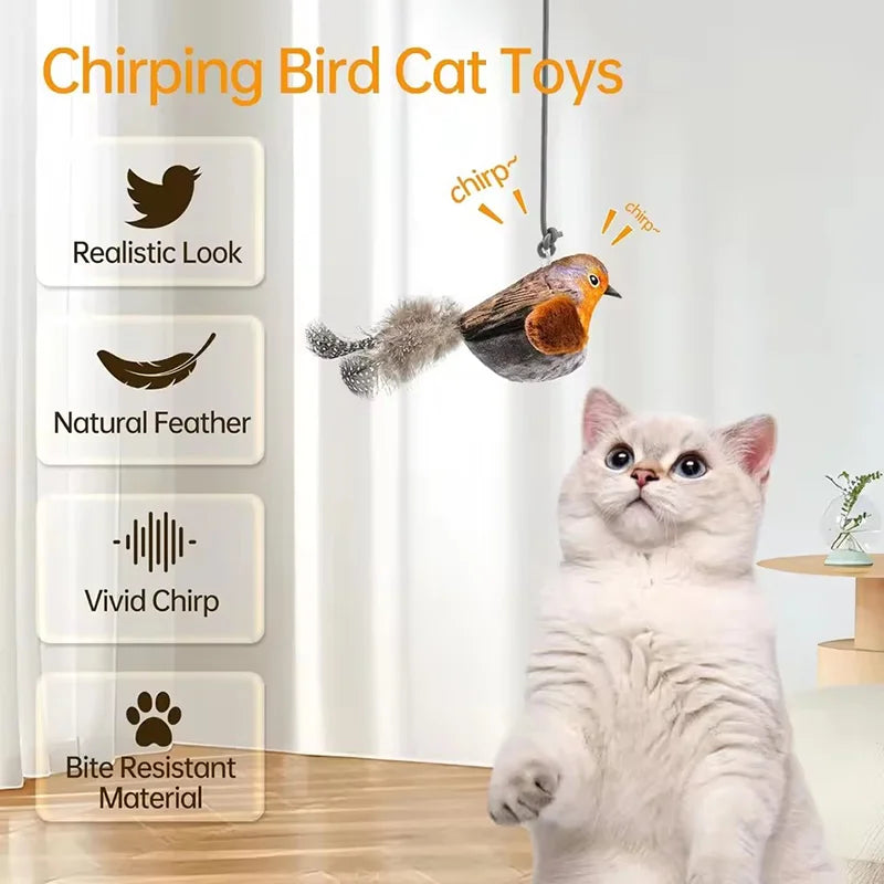 Oiseau Interactif Pour Chat