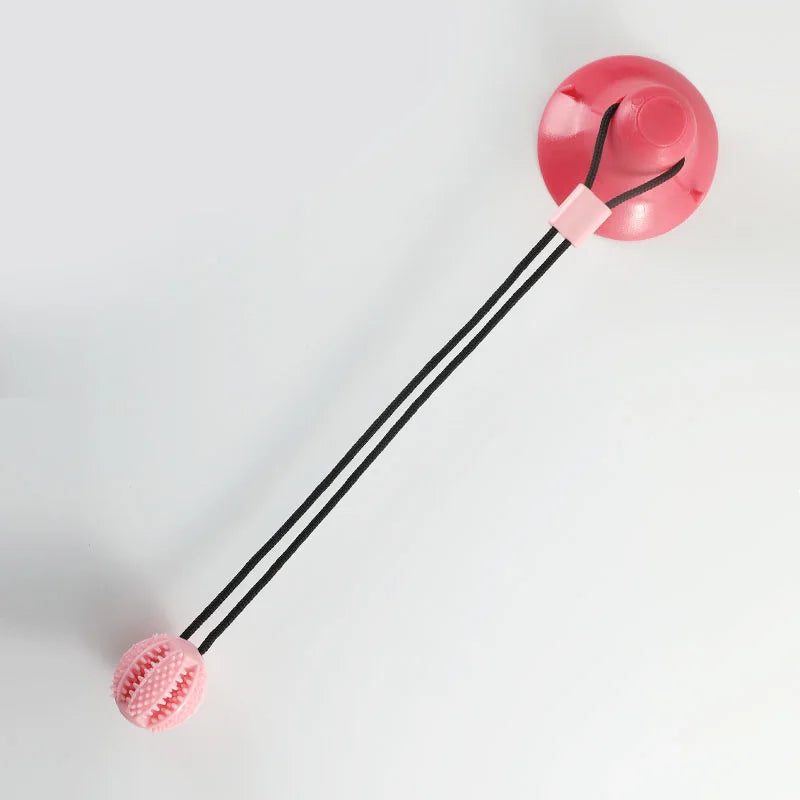 Jouet Interactif Gourmand