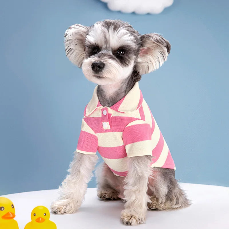 Polo Estival pour Animaux
