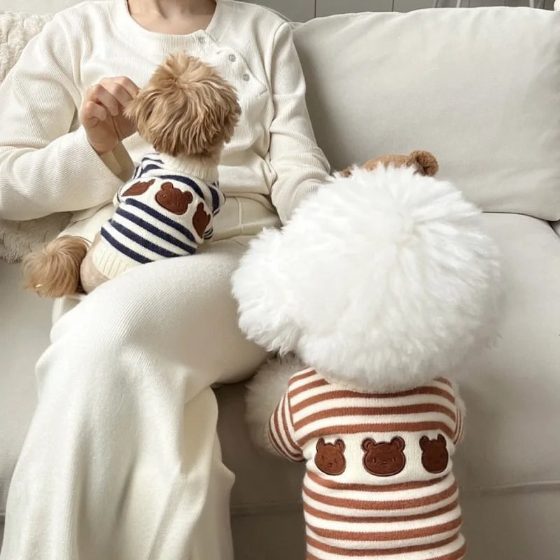 Pull Ours Douillet Pour Chien