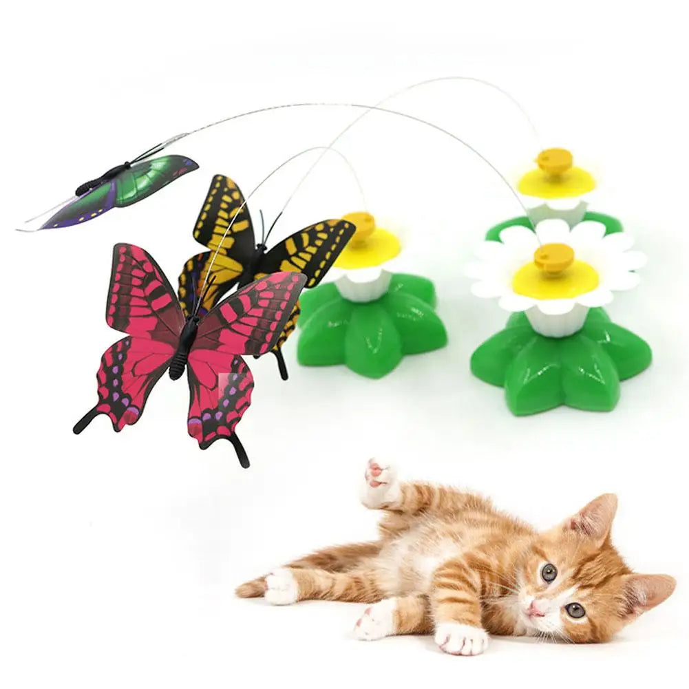 Papillon Volant Interactif