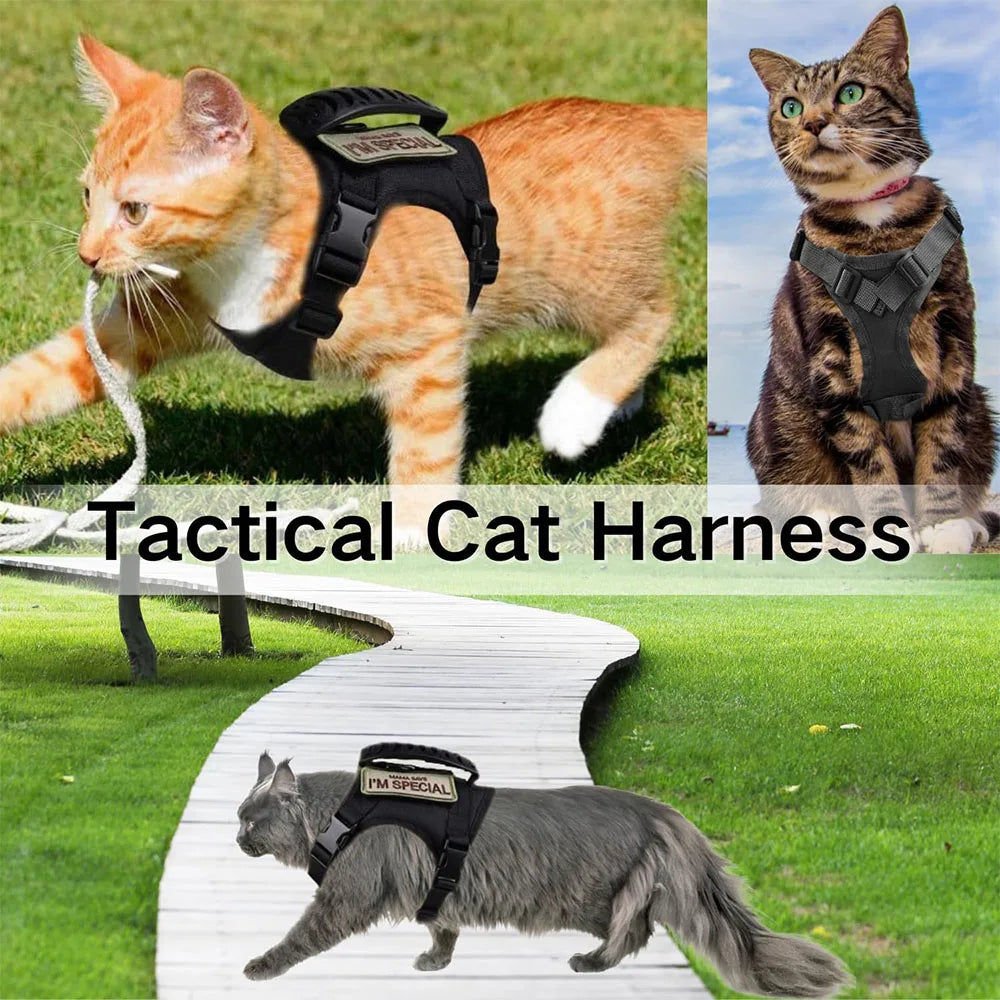 Harnais Tactique Pour Animaux