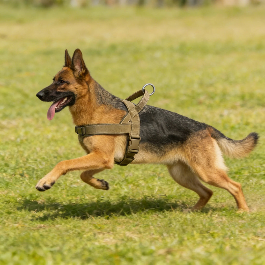 Harnais Tactique Anti-Traction