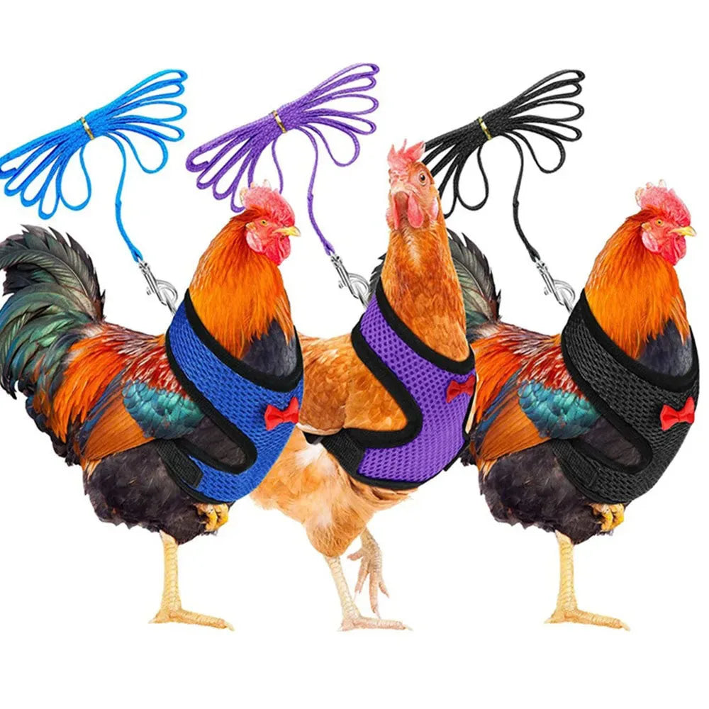 Harnais Confort Pour Petits Animaux