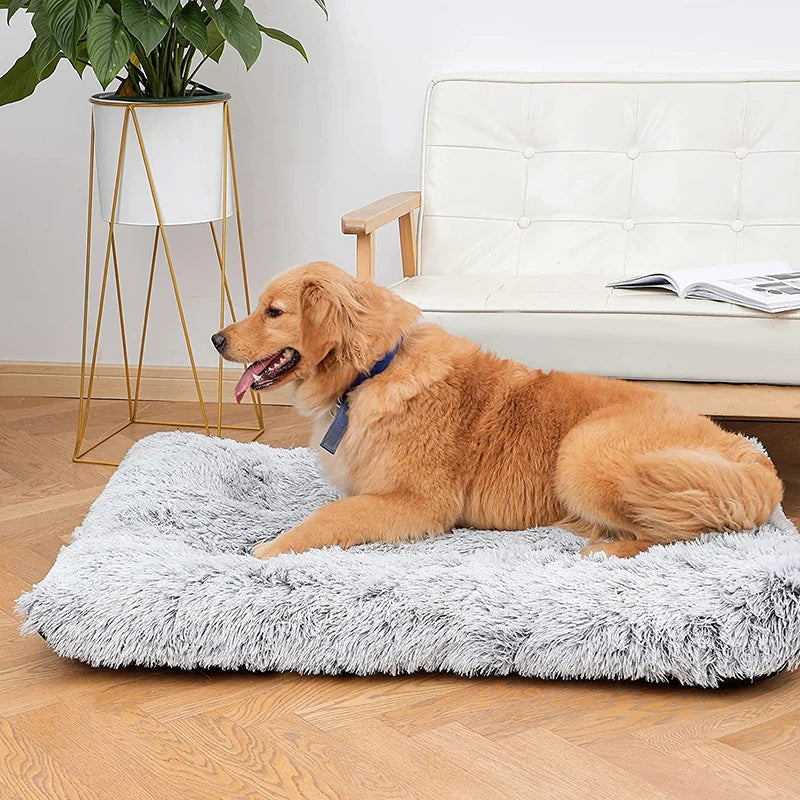 Cocon Douillet pour Animaux