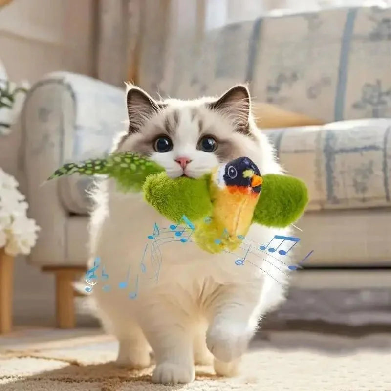 Oiseau Interactif Pour Chat