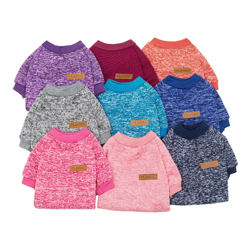 Pull Chaud Pour Chien