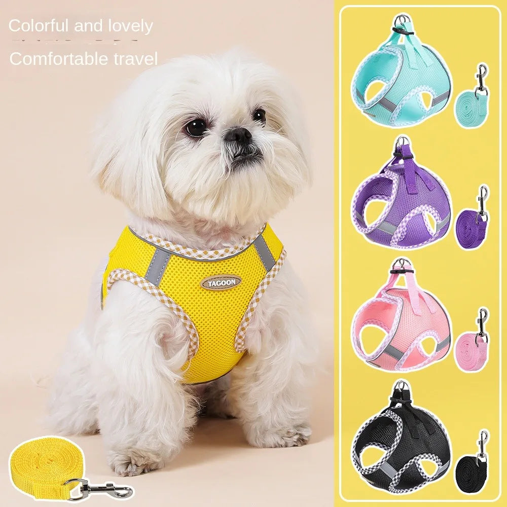 Balle Interactive pour Chien