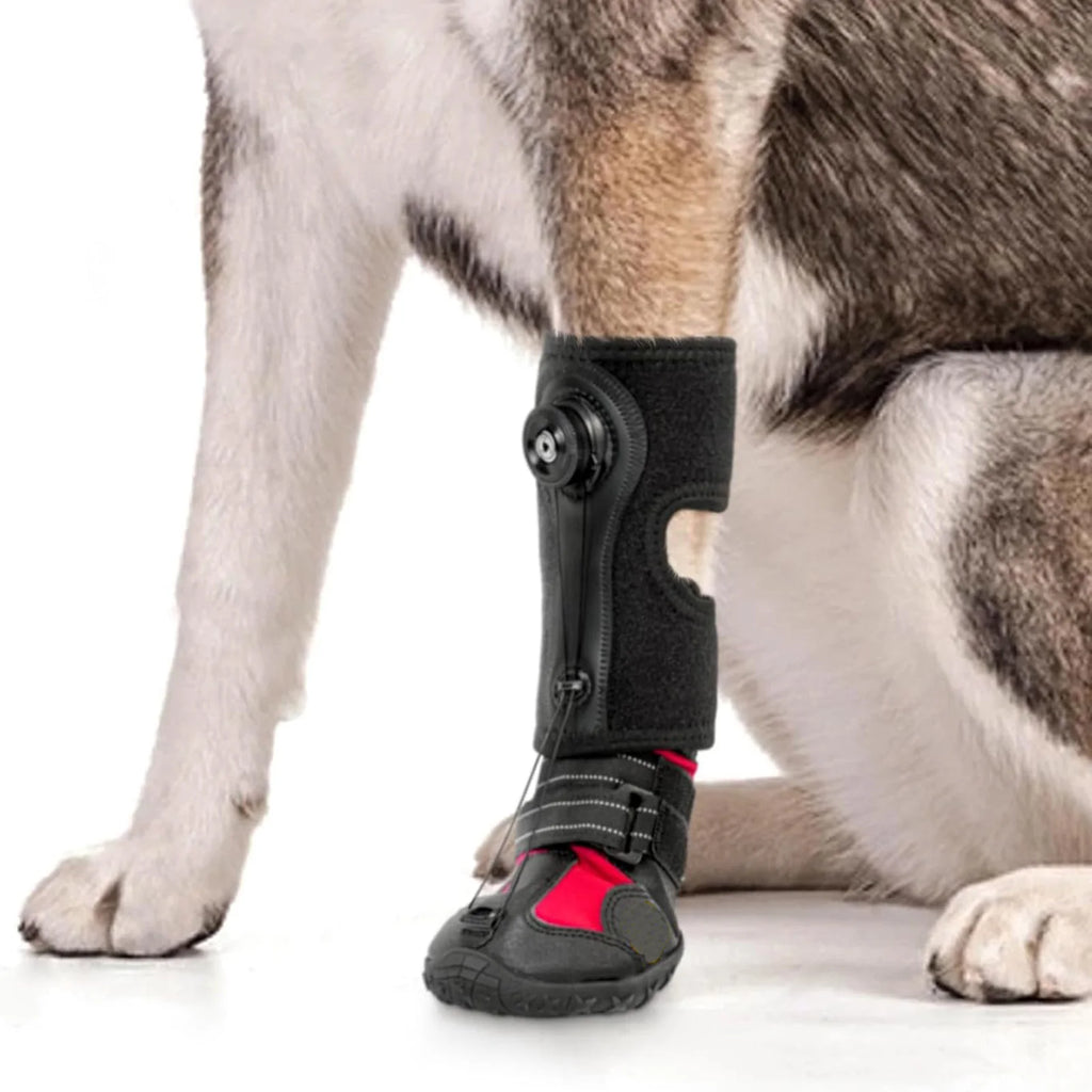 Chaussures Protection Pattes Chien