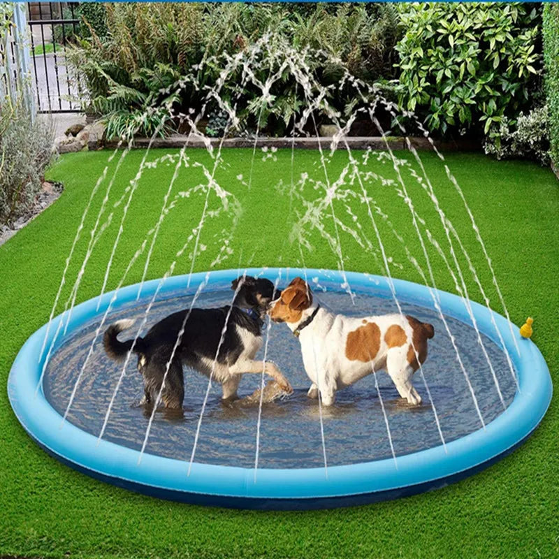 Tapis Fontaine Aquatique Chien