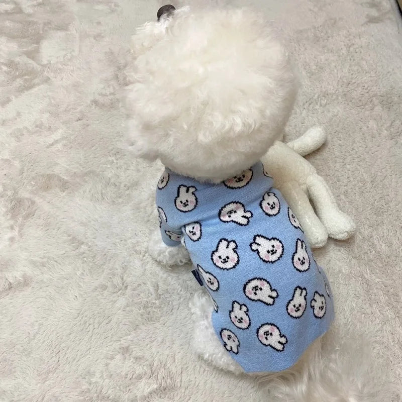 Pull Ours Douillet Pour Chien