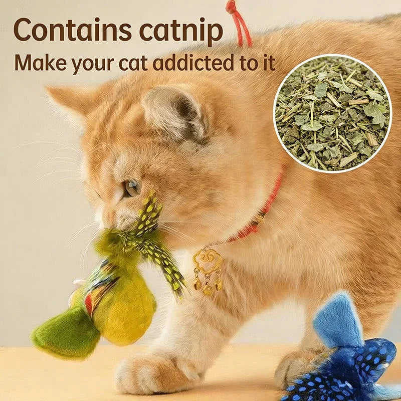 Oiseau Interactif Pour Chat