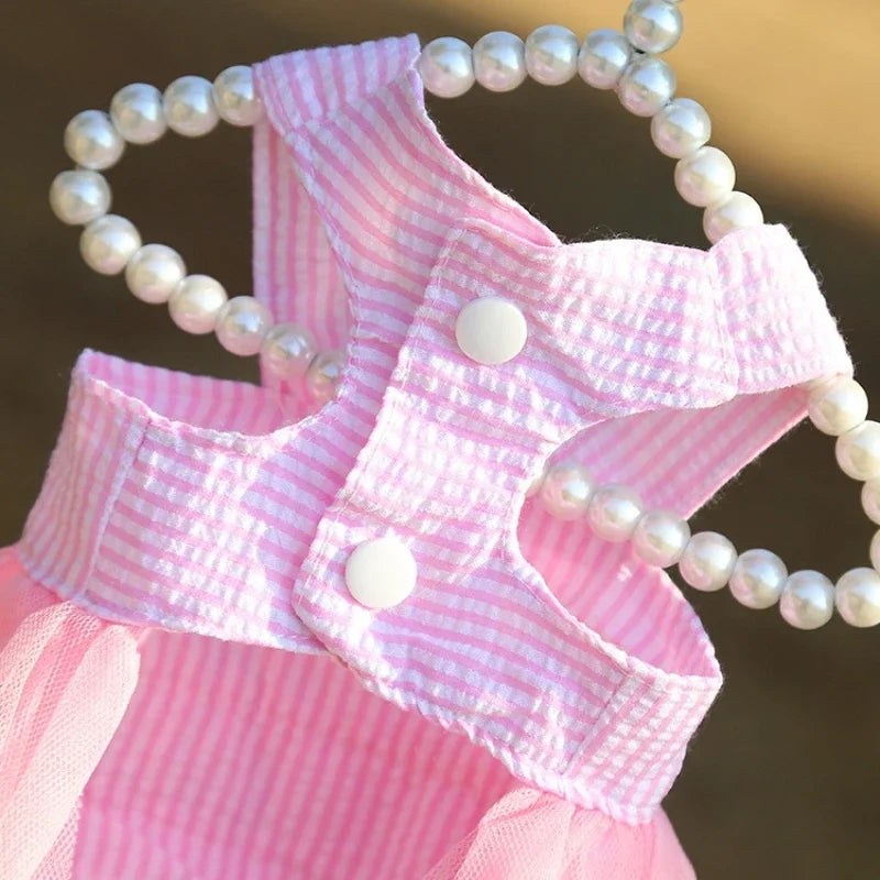 Robe Princesse Pour Animaux