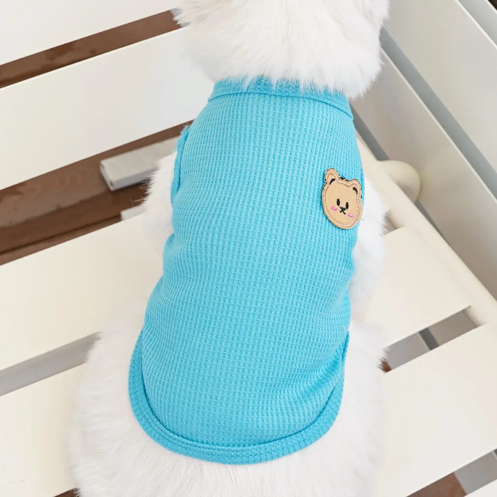 Gilet Ours Douillet Pour Chat