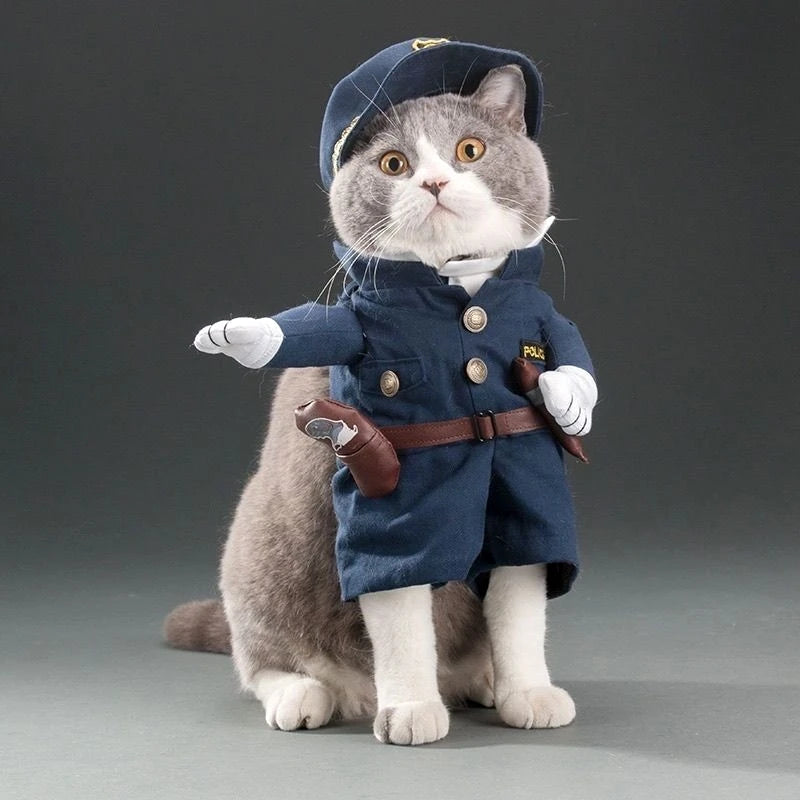 Costume Rigolo Pour Chat