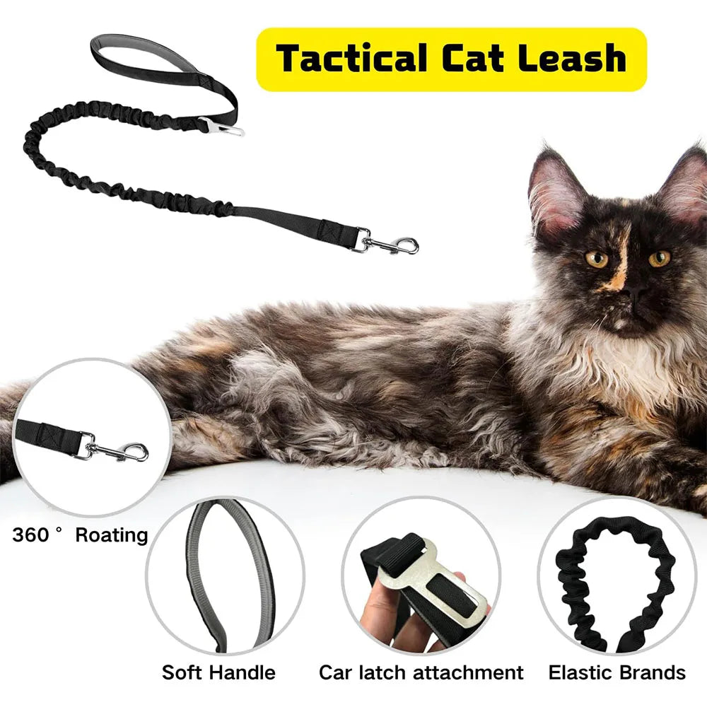 Harnais Tactique Pour Animaux