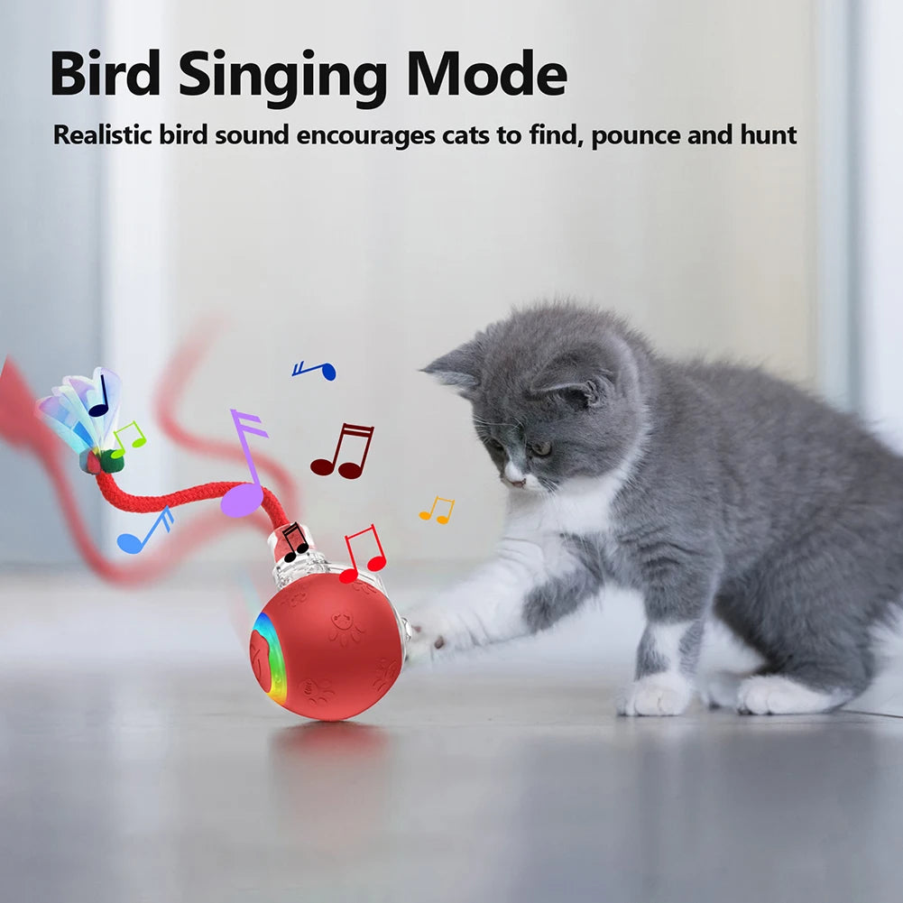 Balle Interactive Pour Chat