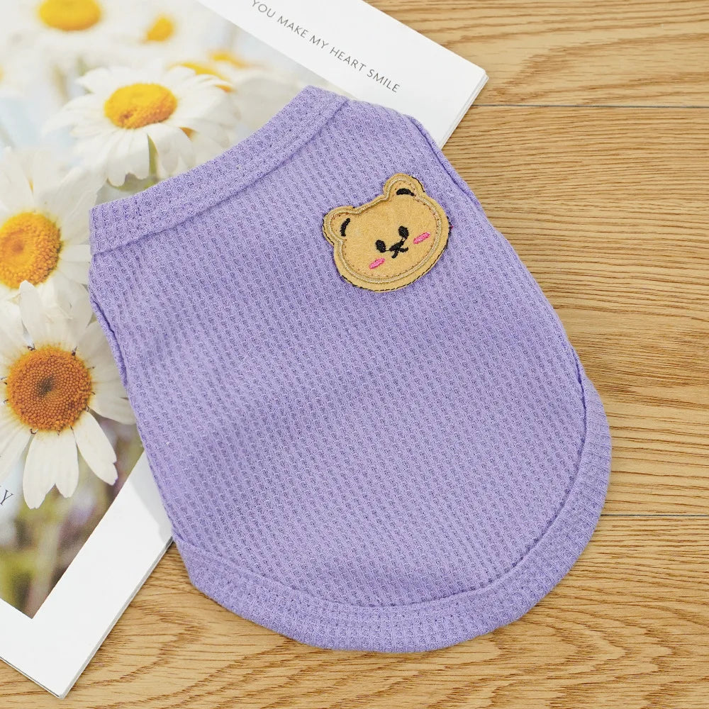 Gilet Ours Douillet Pour Chat