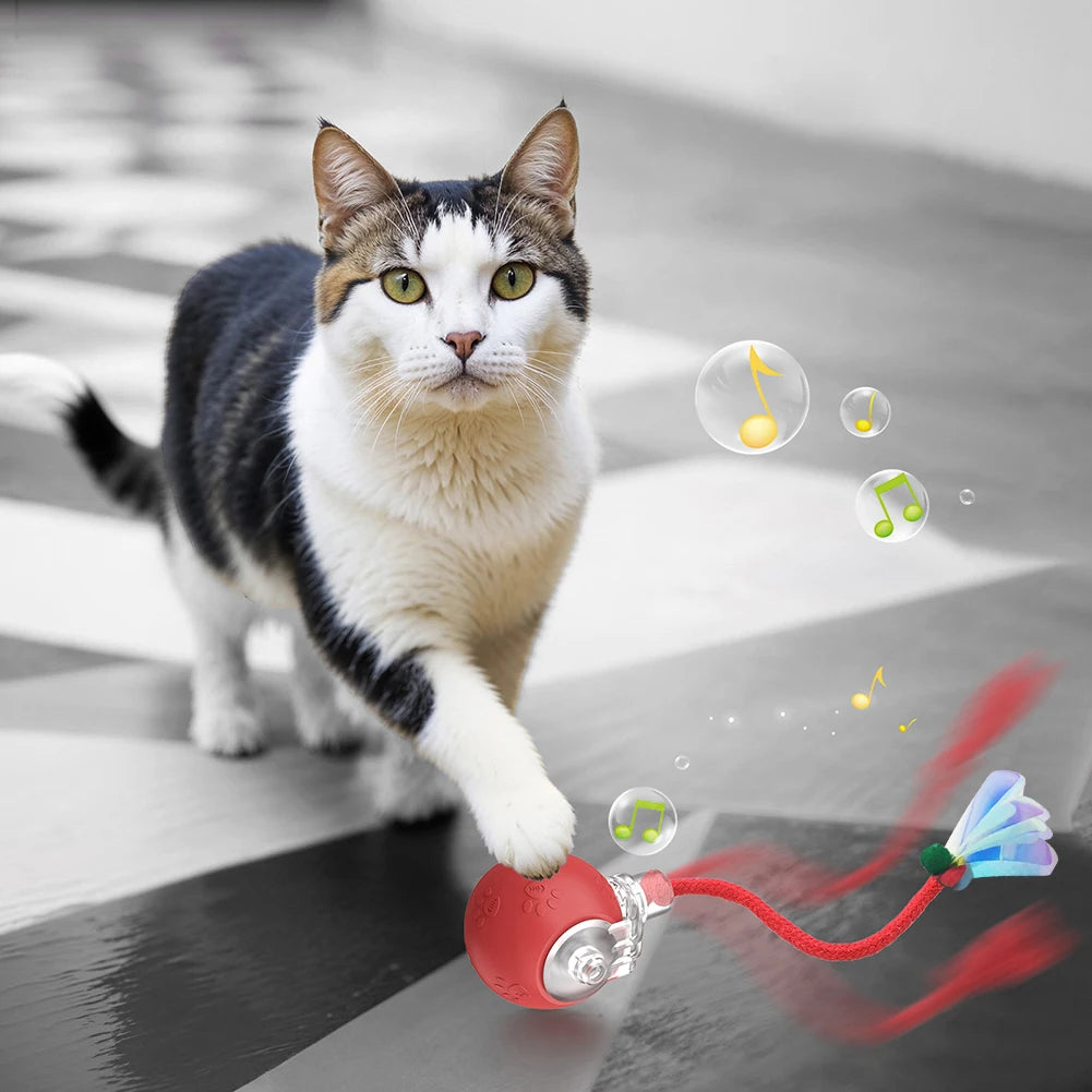 Balle Interactive Pour Chat