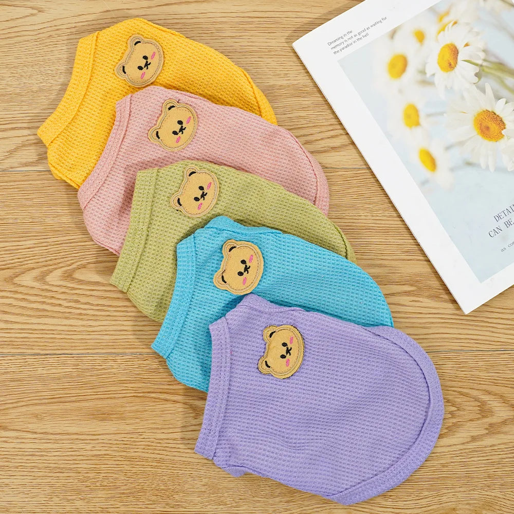 Gilet Ours Douillet Pour Chat