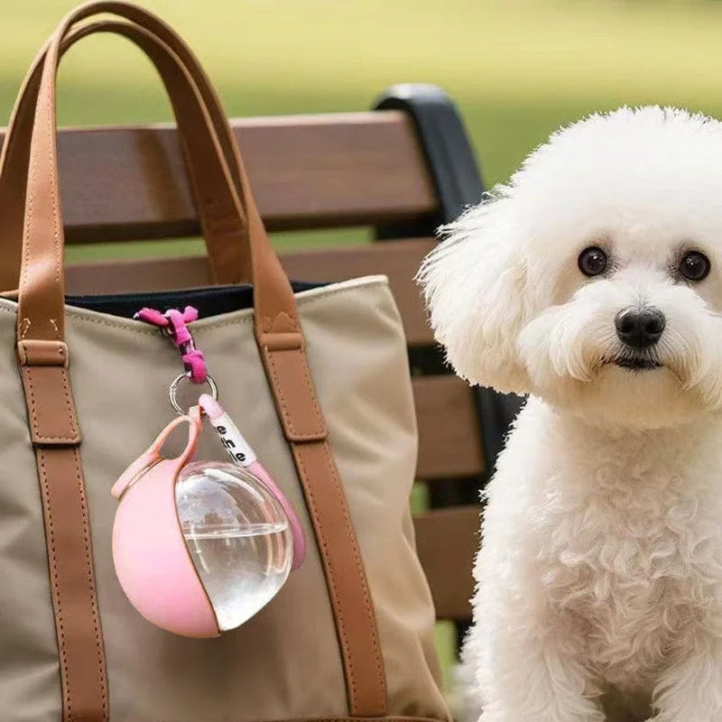 Gourde Portable Pour Animaux