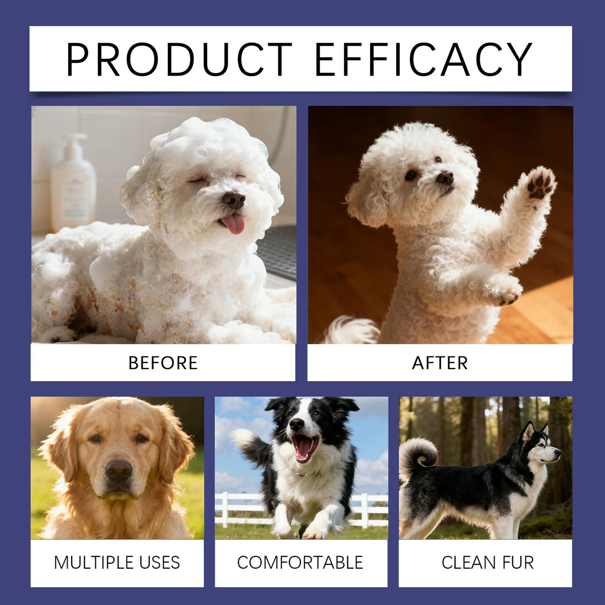 Shampooing Naturel Pour Chien